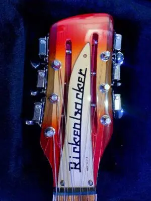 Rickenbacker - 1993PLUS FG 2